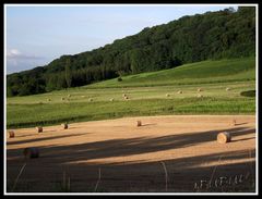 CAMPAGNE JURASSIENNE