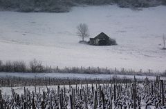 CAMPAGNE JURASSIENNE ENNEIGEE