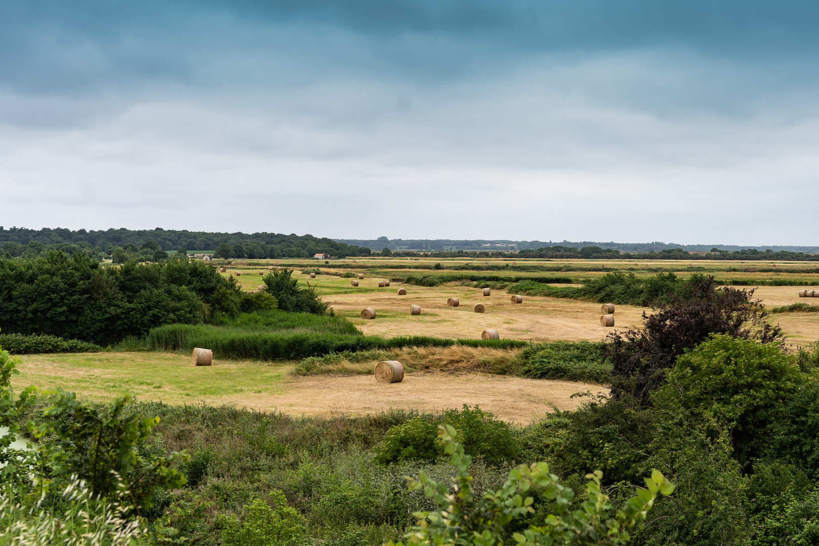 Campagne île d'oléron