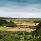 Campagne île d'oléron