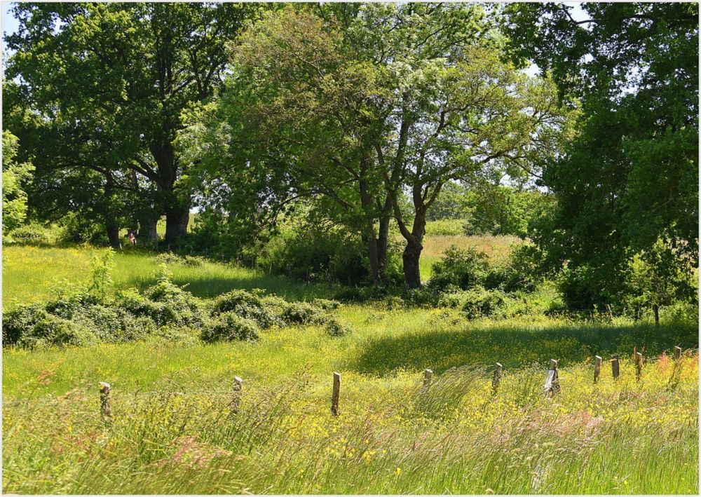 campagne-mayennaise