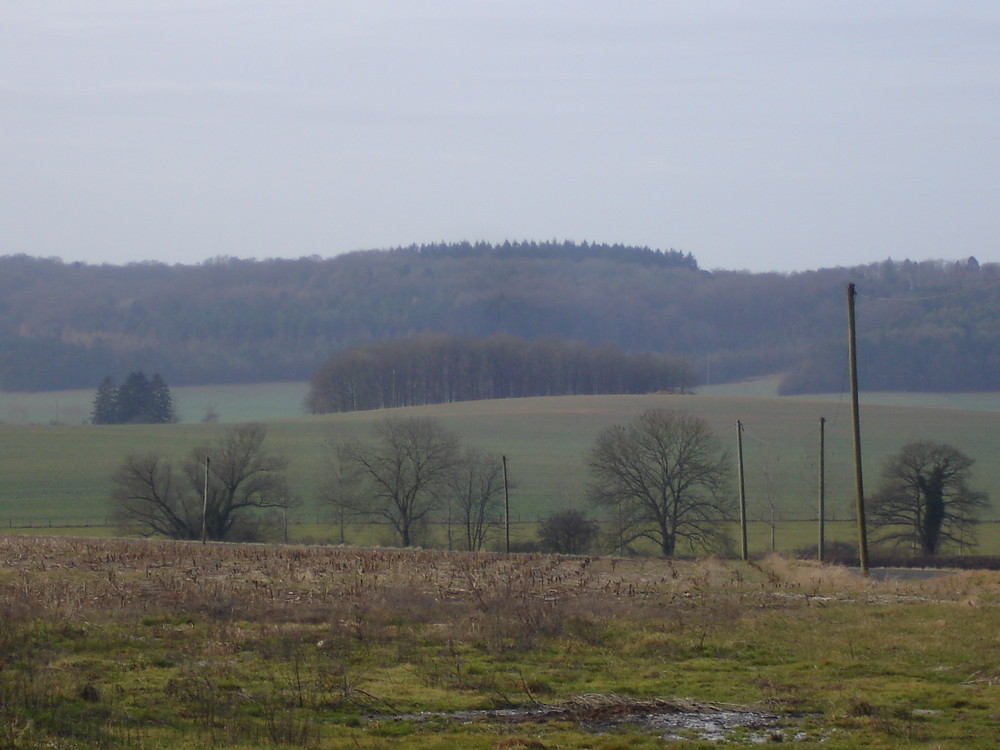 Campagne Meusienne.