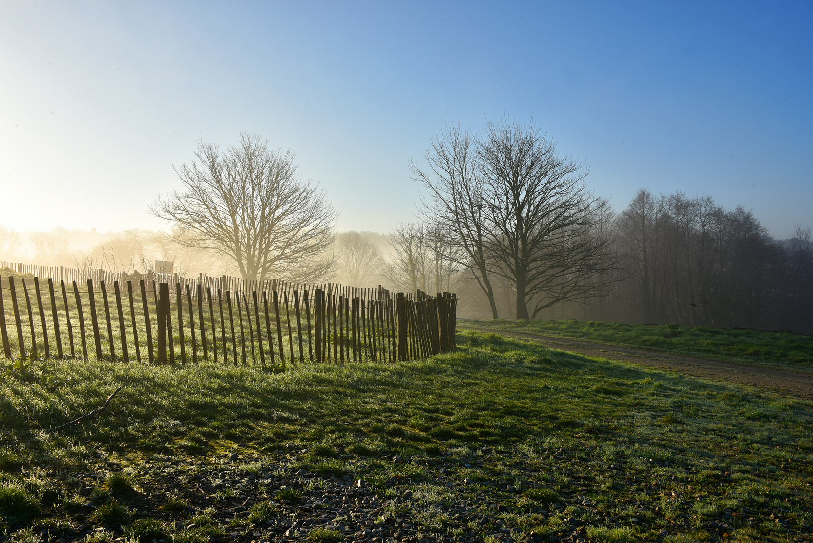 Campagne normande au réveil02