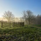 Campagne normande au réveil02