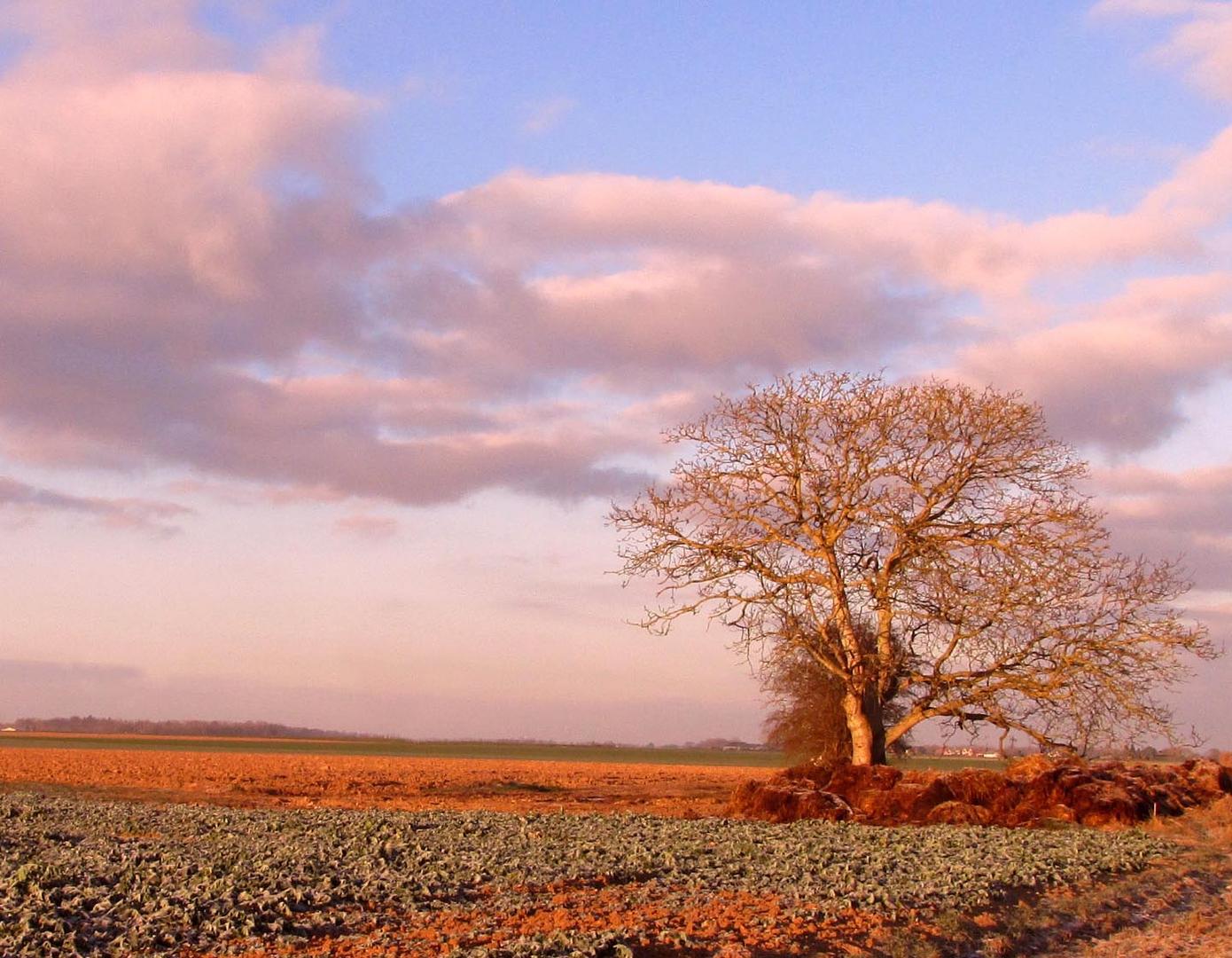 Campagne normande