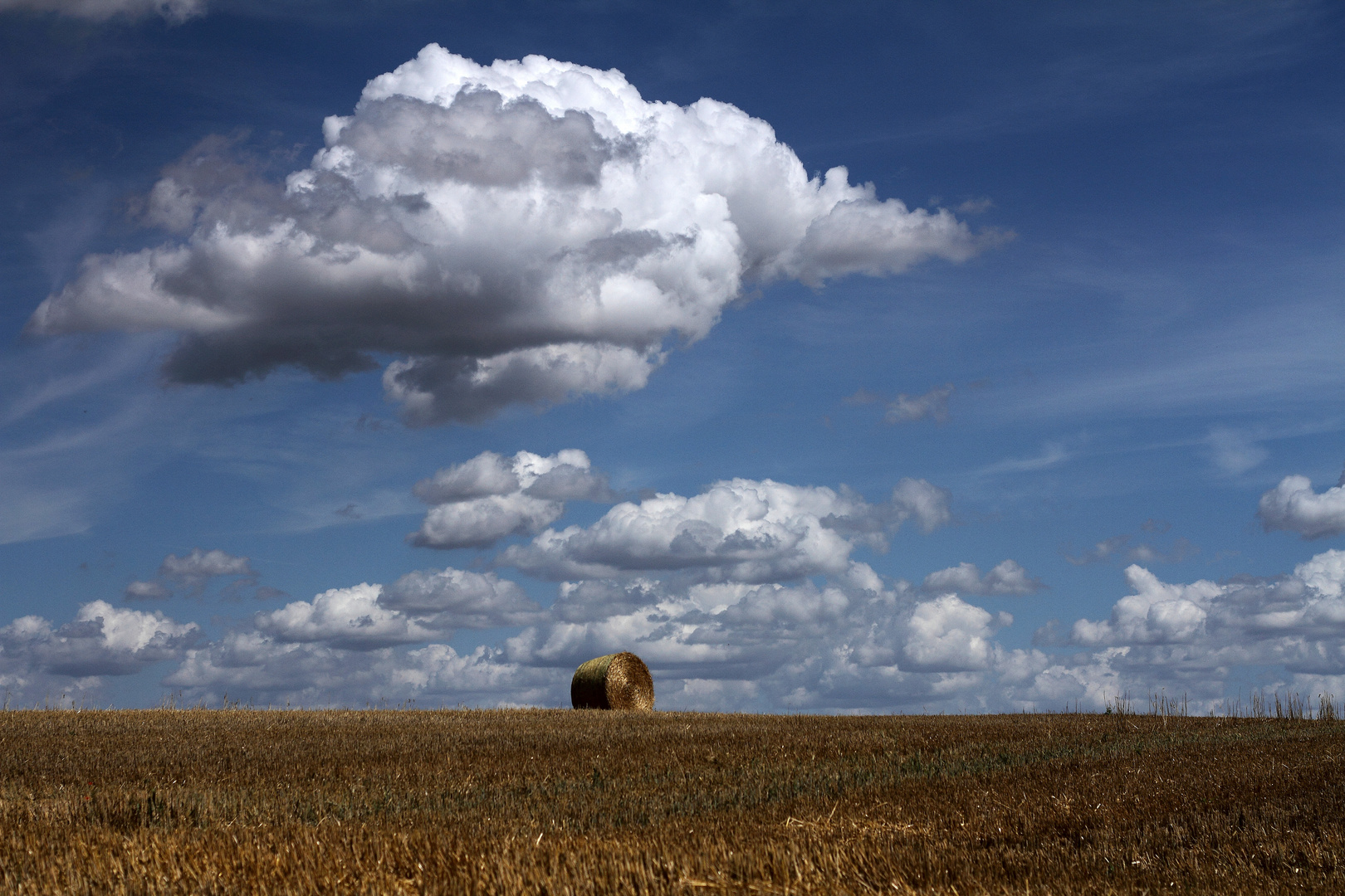 Campagne picarde .