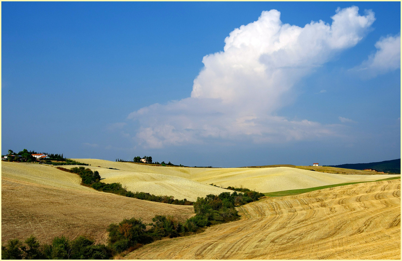 campagne pisane.....