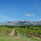 Campagne provençale ...