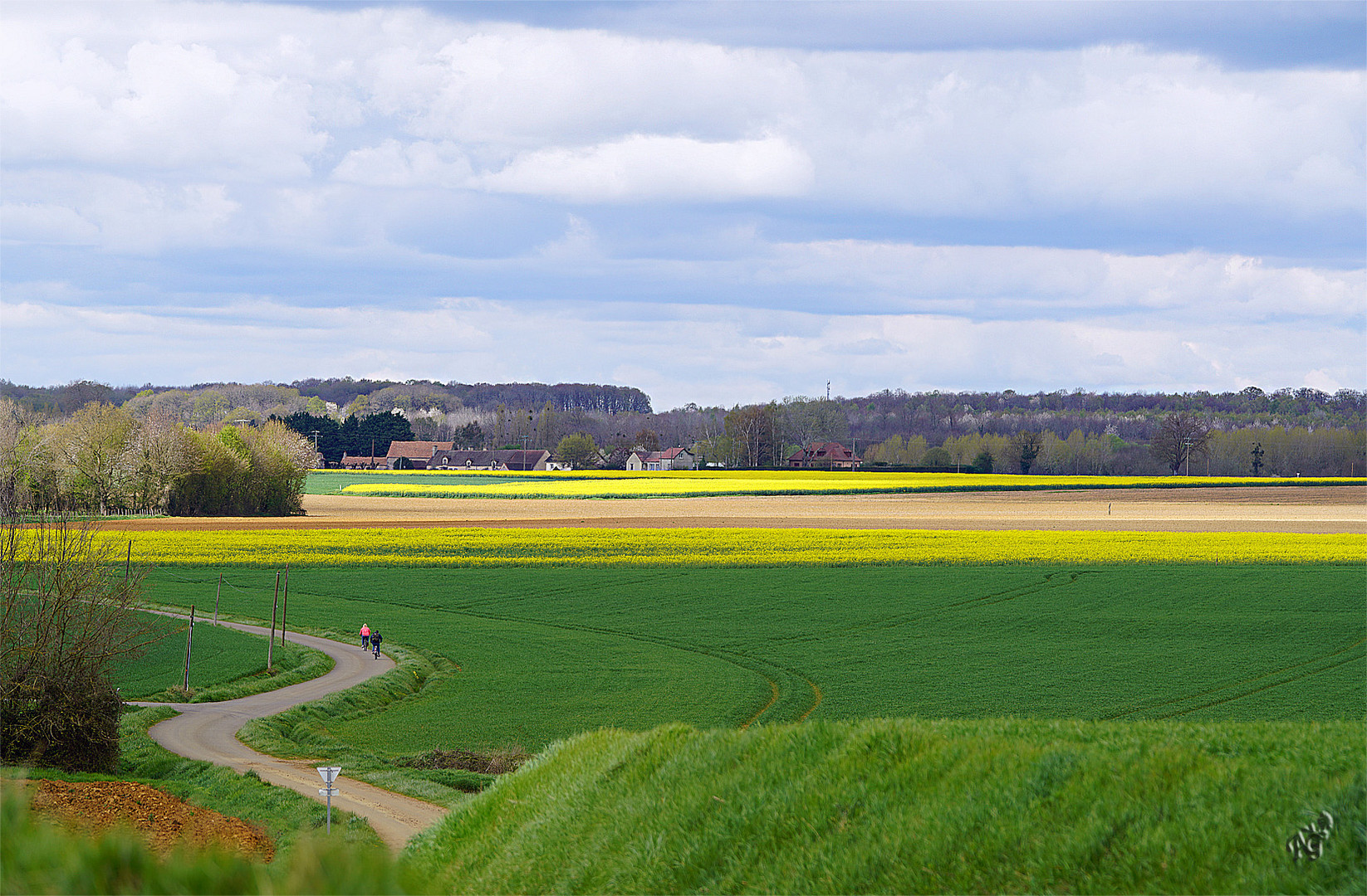 Campagne Sarthoise