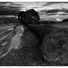 Campagne senesi