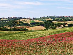 Campagne siennoise