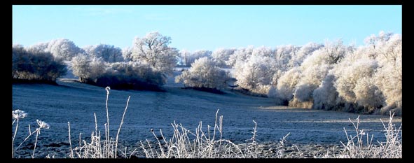 Campagne sous la neige