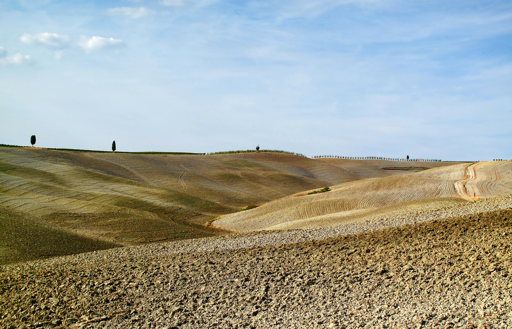 Campagne toscane 2