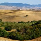 Campagne toscane