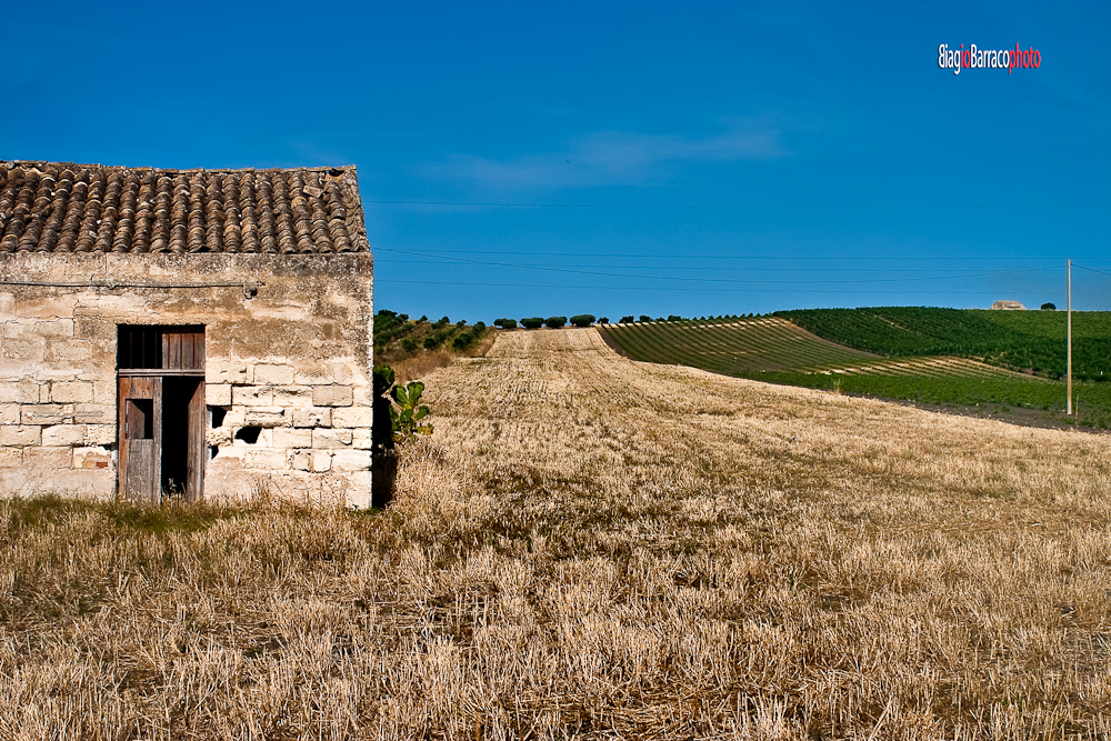 campagne trapanesi in agosto