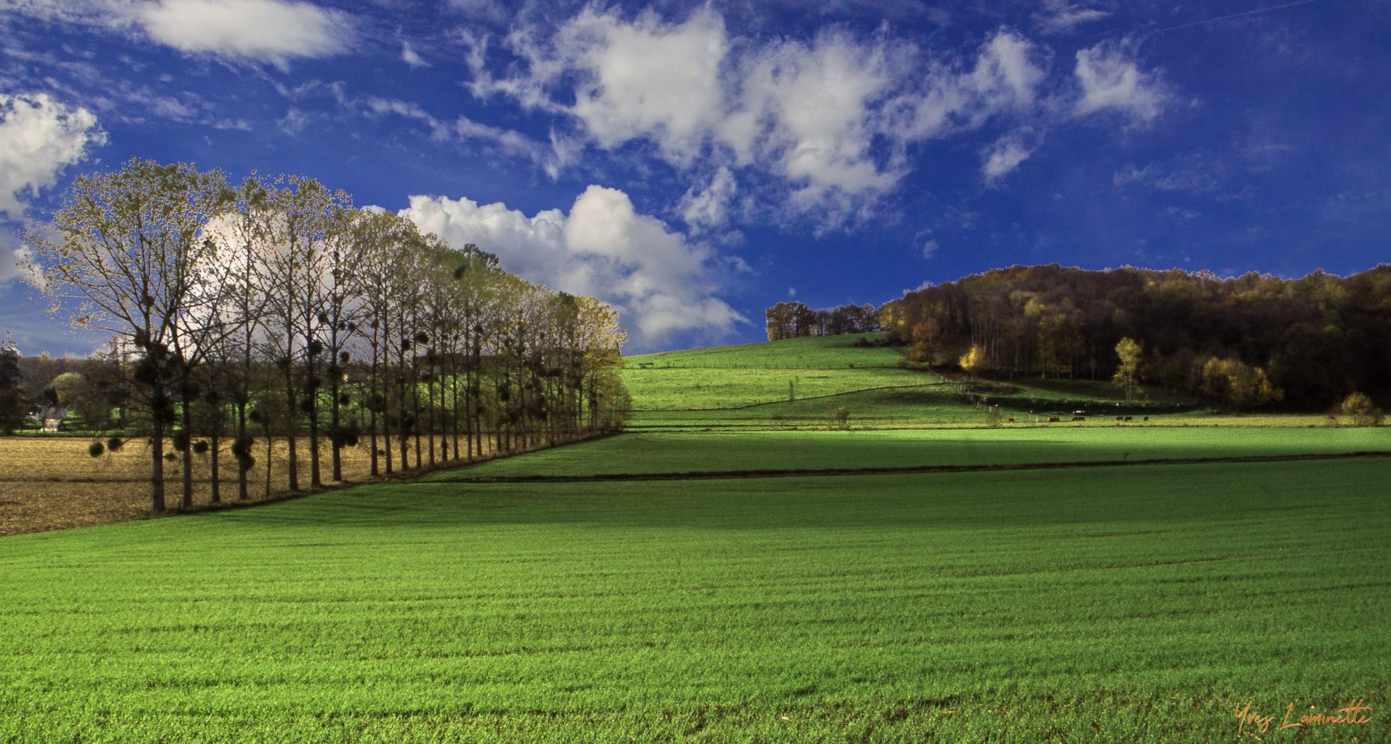 Campagne verte