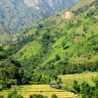 Campagnes du Népal, Terai