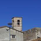 Campanario de Vila-sacra e inquilino