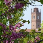 Campanile della Basilica di S. Giorgio (Ferrara) - Primavera 2006