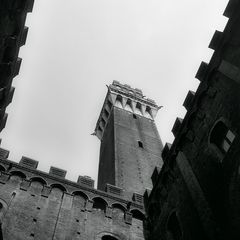 Campanile in Sienna