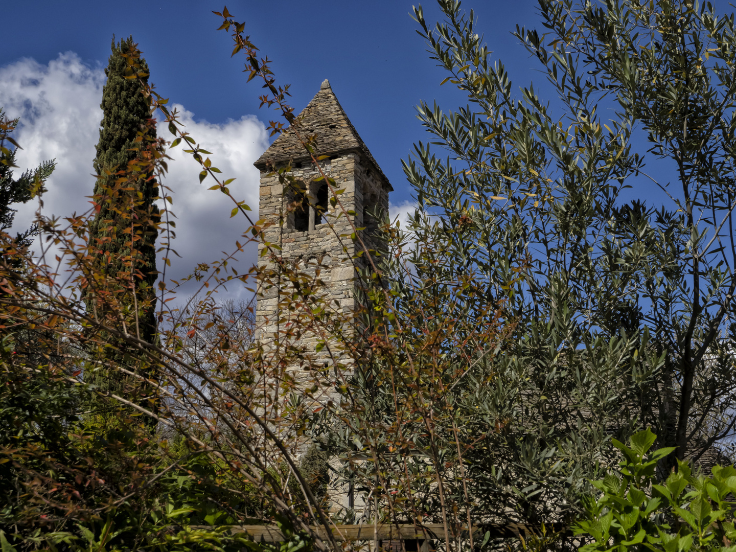 Campanile nel verde