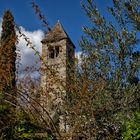 Campanile nel verde