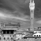 campanile-siena-2-sw