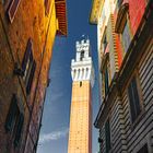 campanile-siena