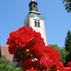 campanile tra i fiori