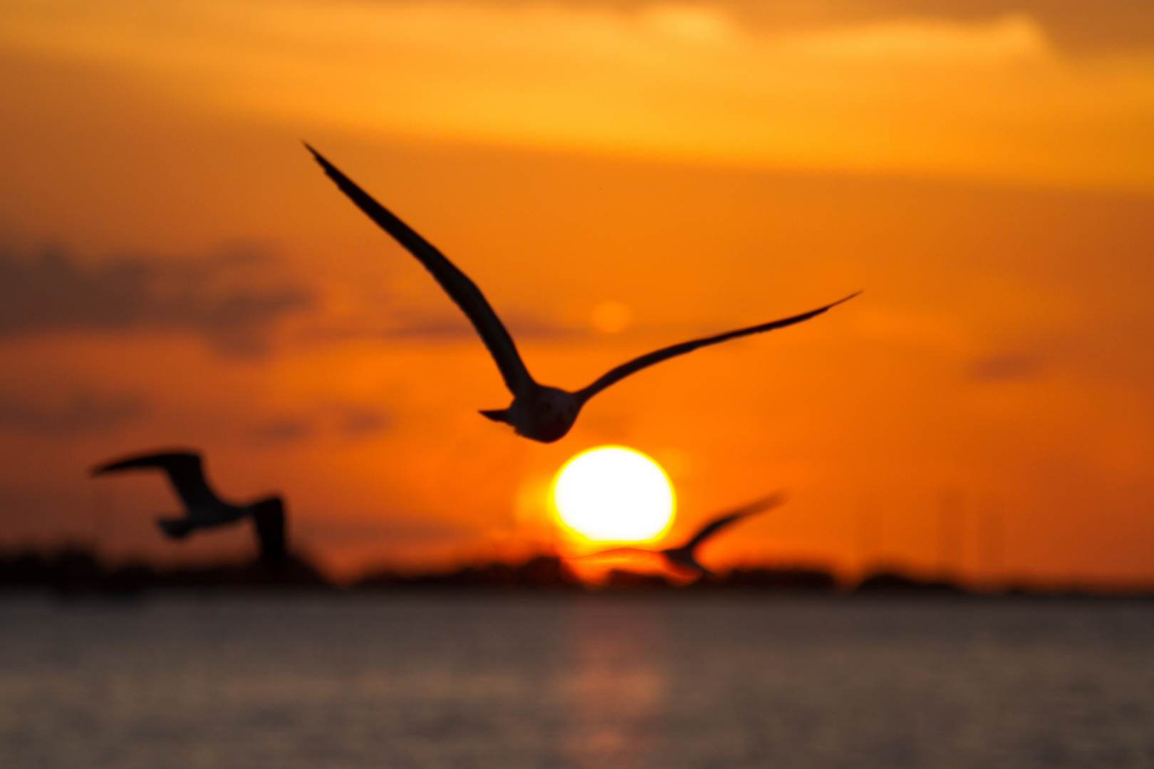 Campeche sunset