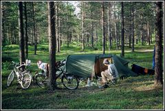 Campen im Wald