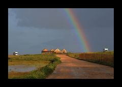 Campen unterm Regenbogen