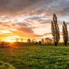 Campervan im Sonnenaufgang