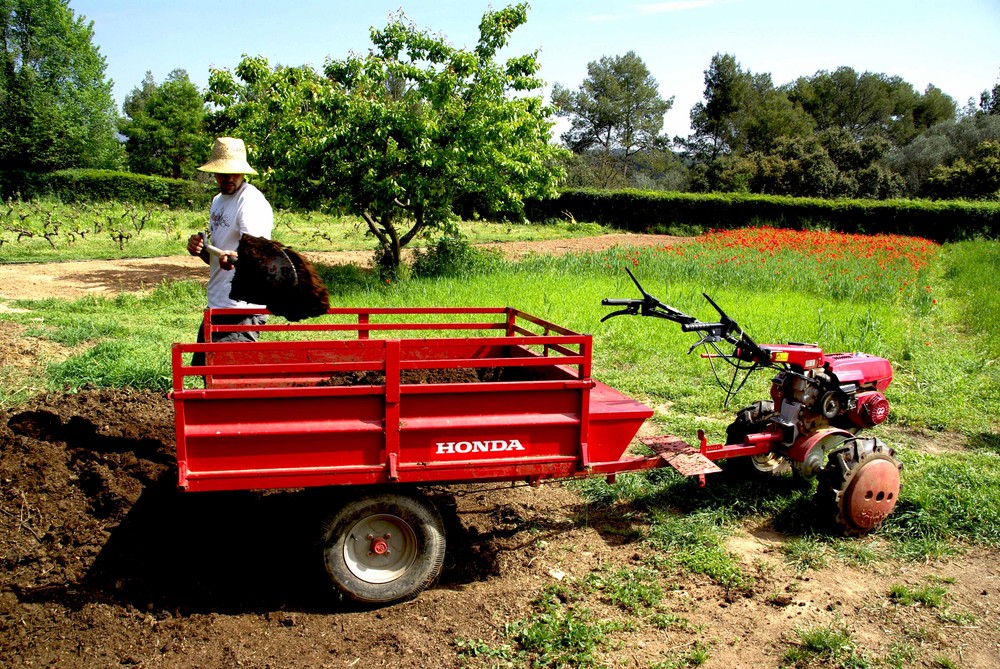 Campesino 2