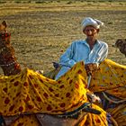 campesino de camello