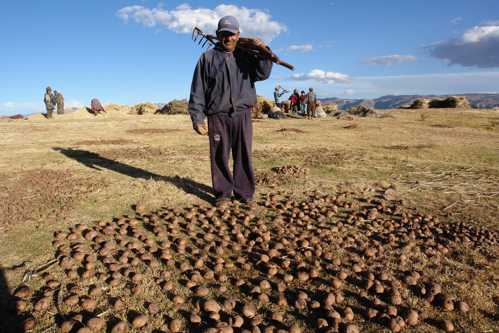 CAMPESINOS (Chuno)