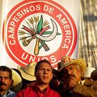 CAMPESINOS DE AMERICA UNIOS CNC