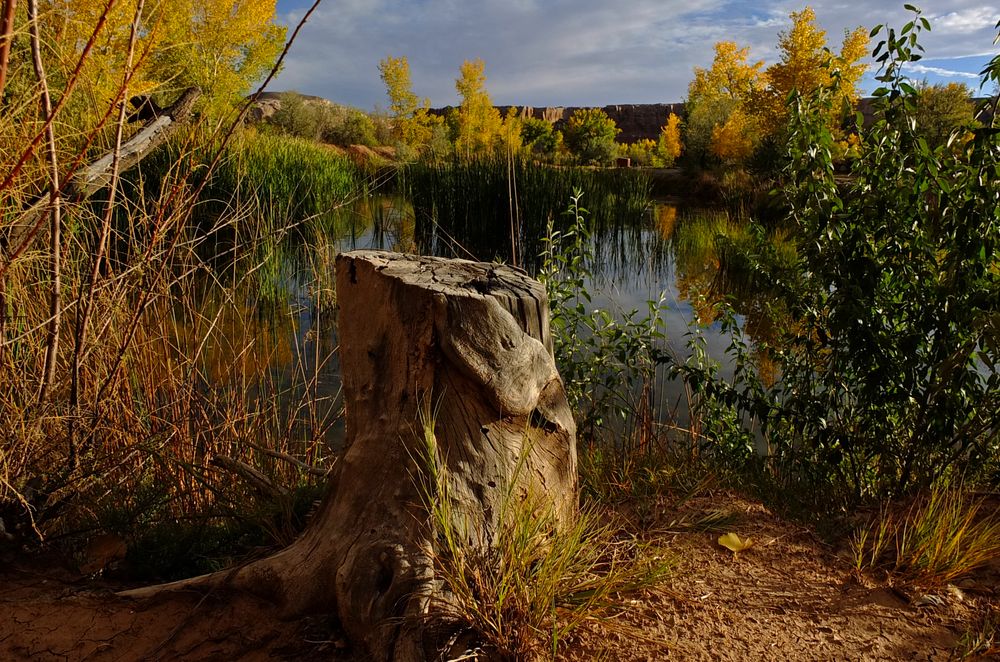 Campground in Bluff (Utah)