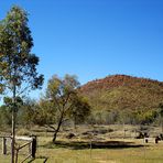 Campground View, 1