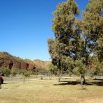 Campground View, 3