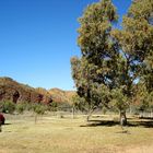 Campground View, 3