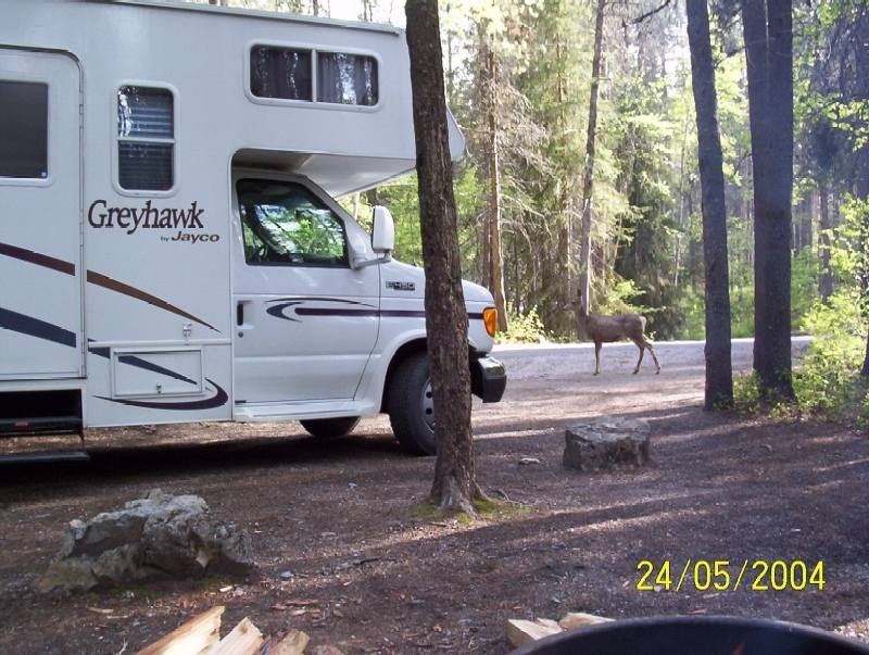 Campground Waterton-Glacier NP