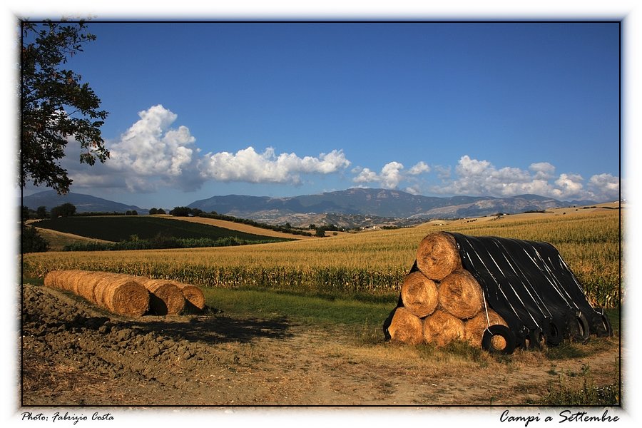 Campi a Settembre