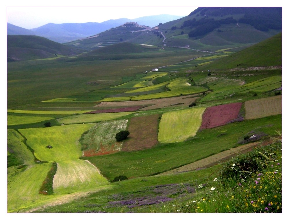 Campi di Castelluccio