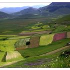 Campi di Castelluccio