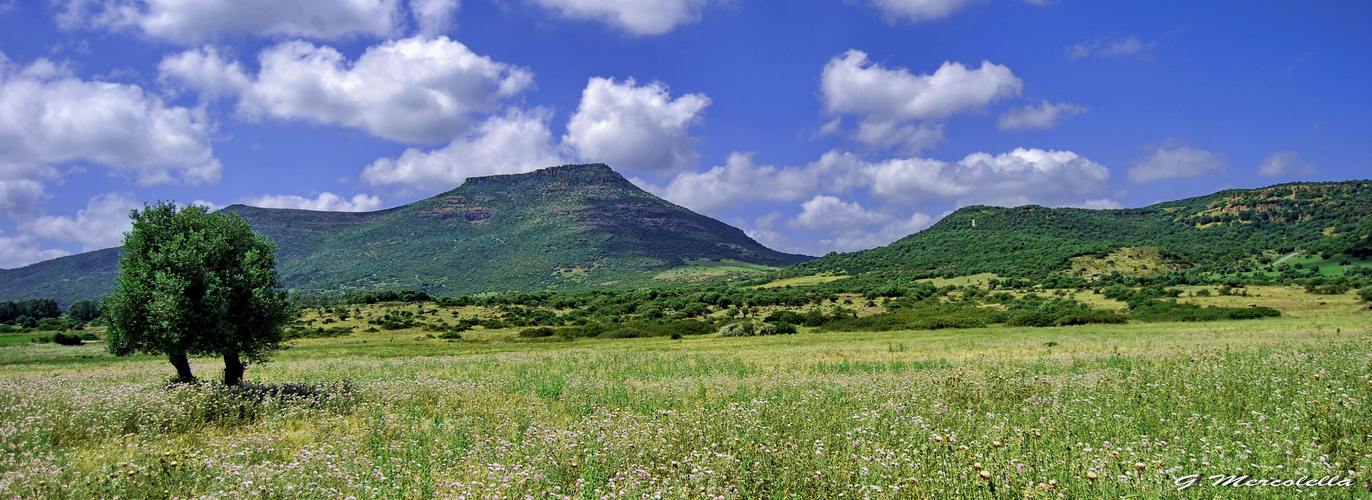 Campi e nuvole