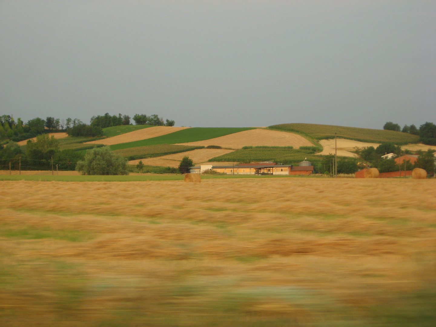 Campi in movimento