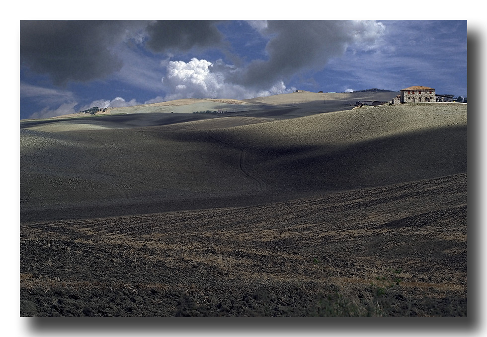 Campi in Toscana - Tuscan fields