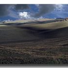 Campi in Toscana - Tuscan fields