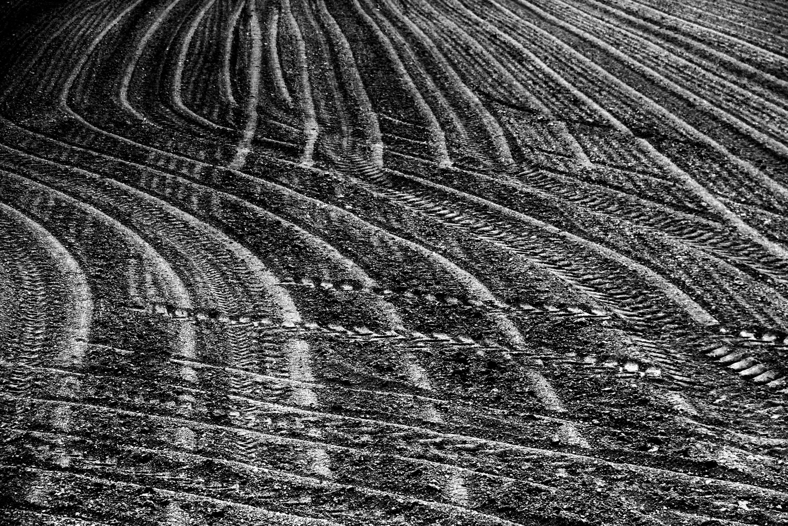 ..campi incisi....dal lavoro dell'uomo...